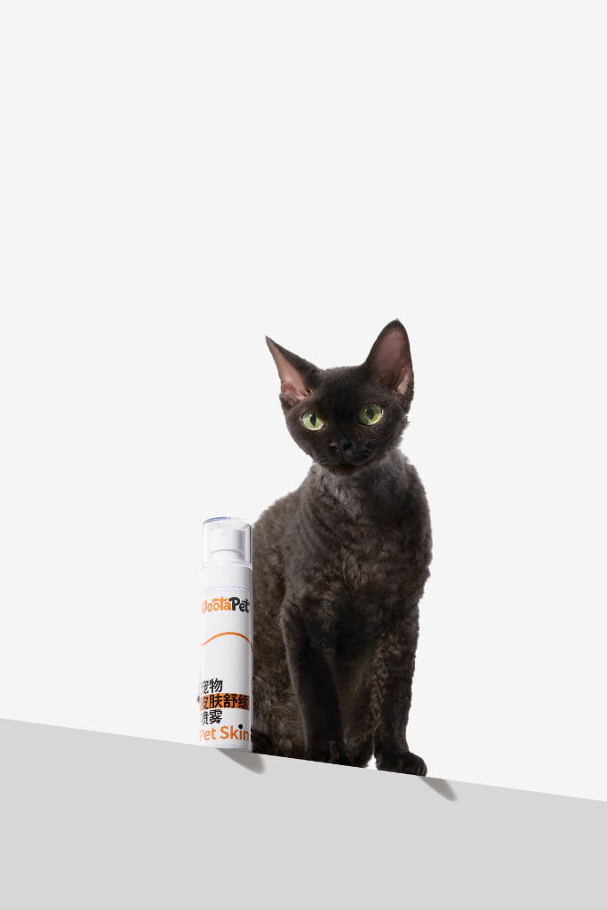 黑色猫咪与 UootaPet 宠物皮肤舒缓喷雾