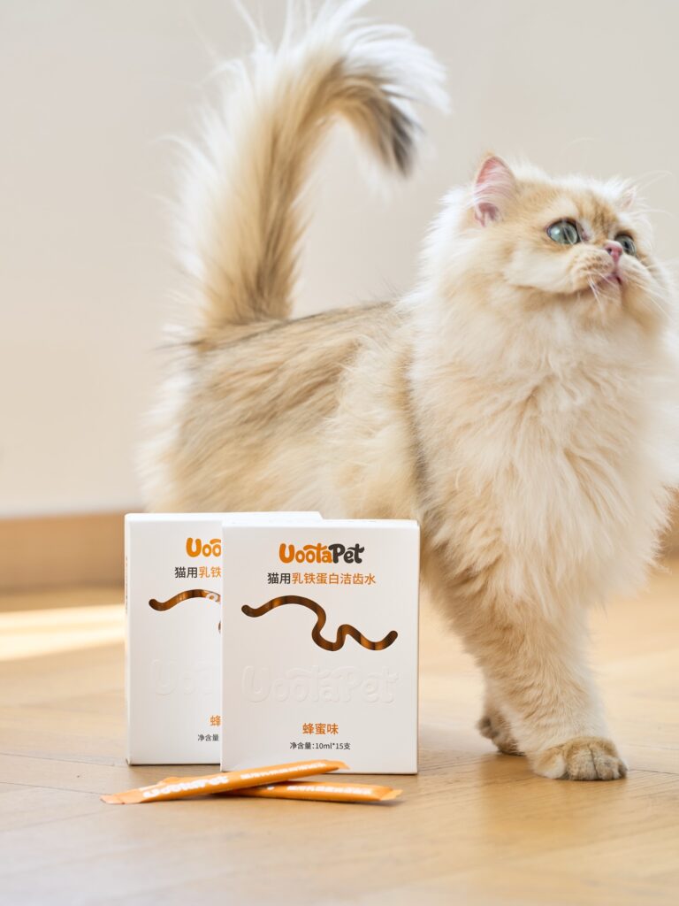 猫咪与 UootaPet 乳铁蛋白洁齿水产品